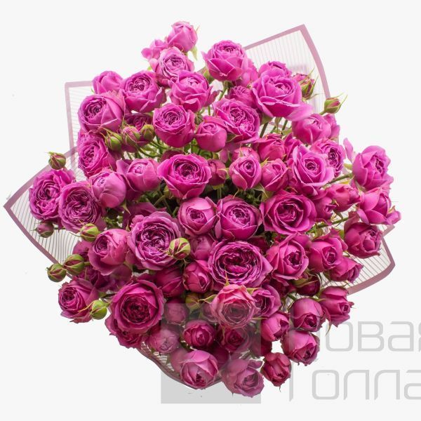 Букет 21 розовая кустовая пионовидная роза 50см.
