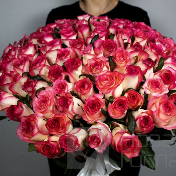 Букет 101 розовая роза 50 см