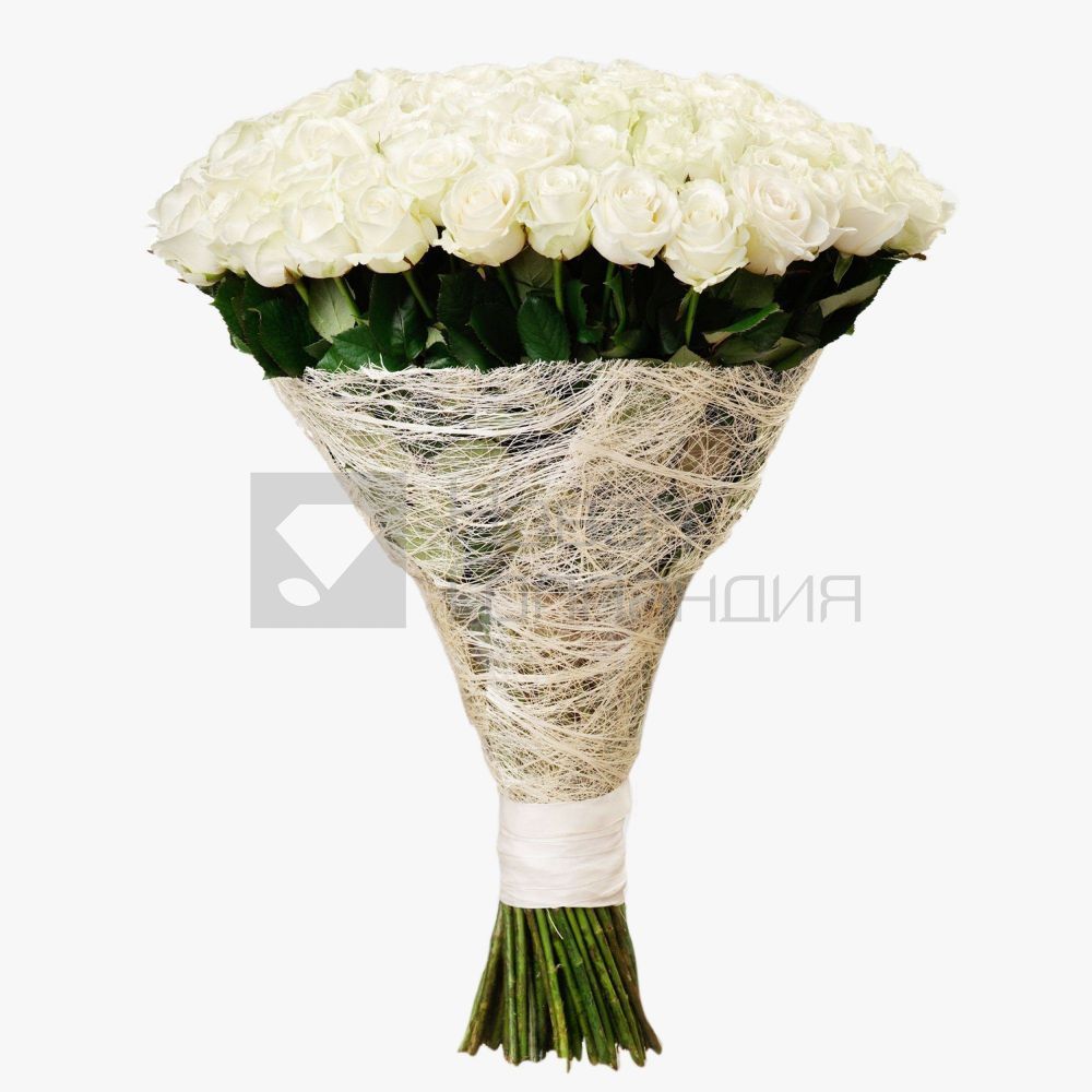 Букет Королевы 101 белая роза 60 см