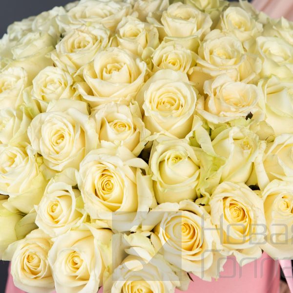 51 Белая роза в большой розовой шляпной коробке №114