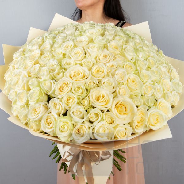 Букет 151 белая роза 60 см