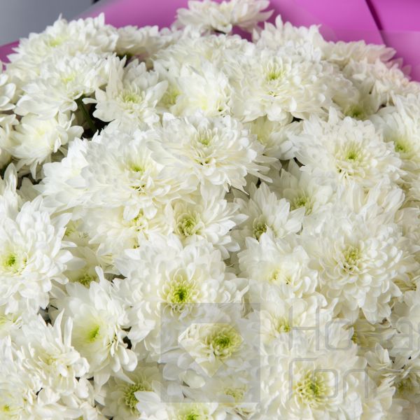 Букет 21 белая кустовая хризантема