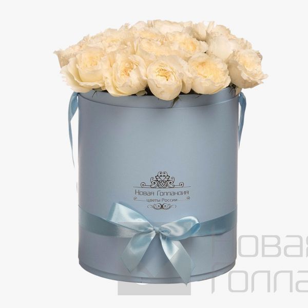19 белых пионовидных роз премиум в большой голубой шляпной коробке №347
