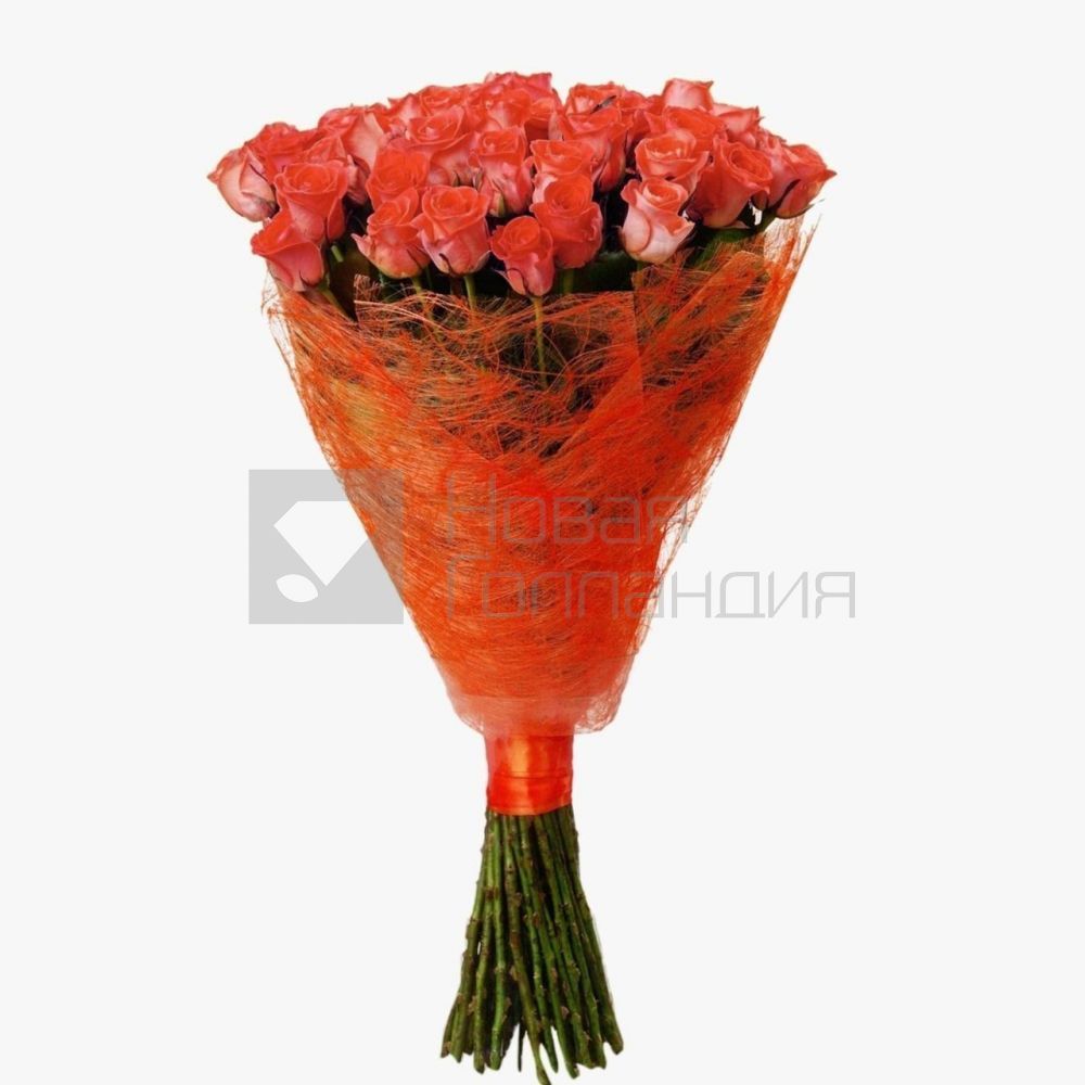 Букет 51 оранжевая роза 70см