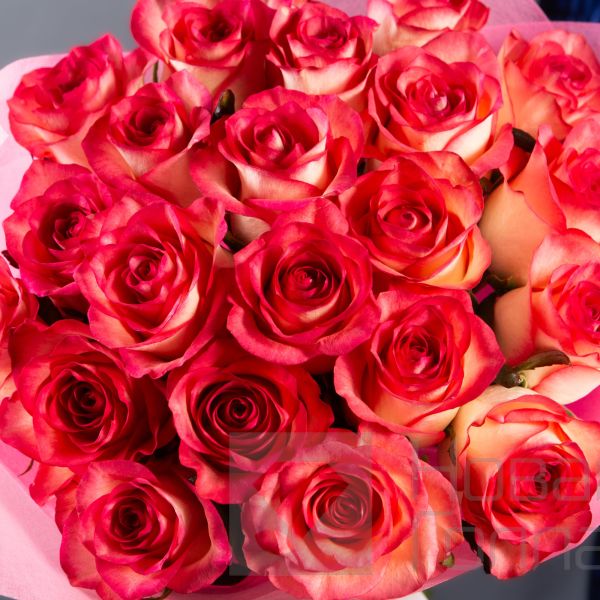 Букет 21 розовая роза 40см