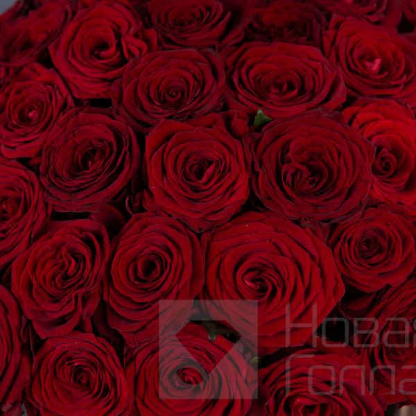 51 Красная роза в большой розовой шляпной коробке №308