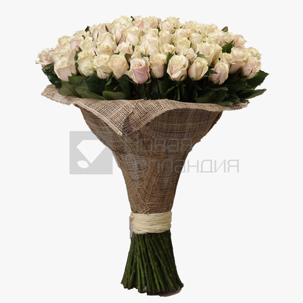 Букет 151 нюдовая роза 60 см