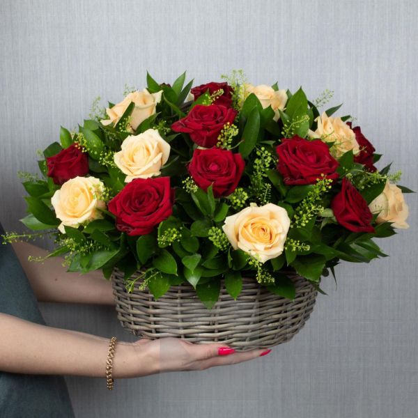 25 кремовых и красных роз в корзине LUX