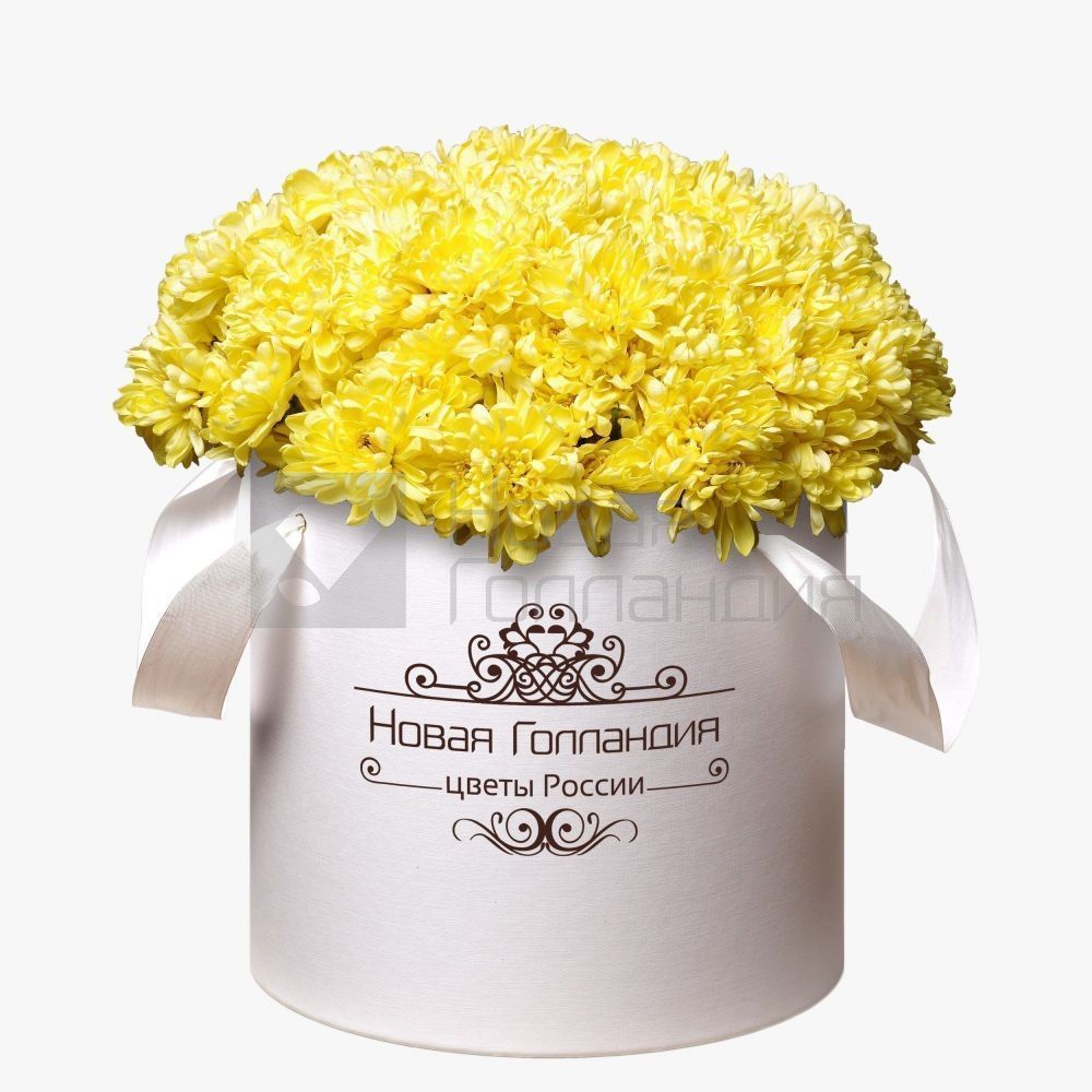 15 Желтых хризантем в большой белой коробке №243