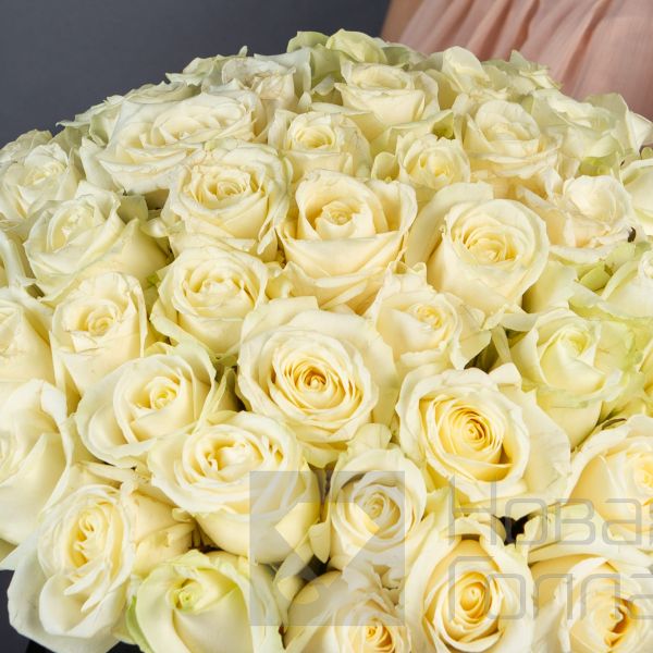 51 Белая роза в большой черной шляпной коробке №214