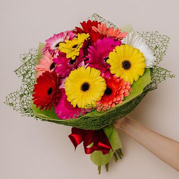 Букет из 15 гербер