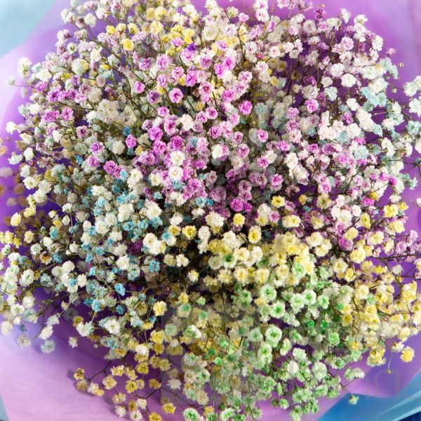 Букет из 5 радужных гипсофил