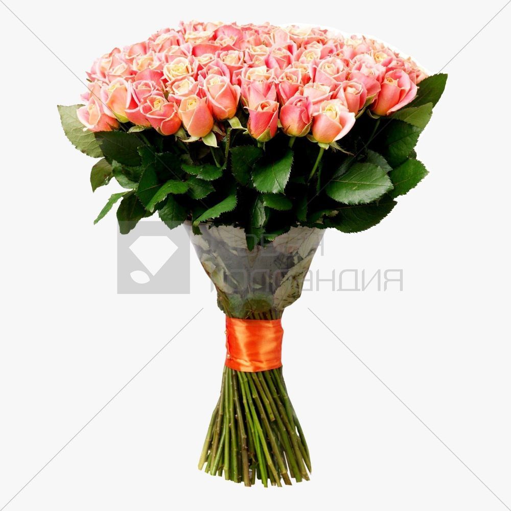 Букет 101 персиково-розовая роза 35 см