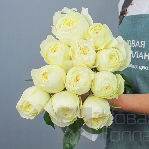 11 белых роз Премиум Эквадор 70 см
