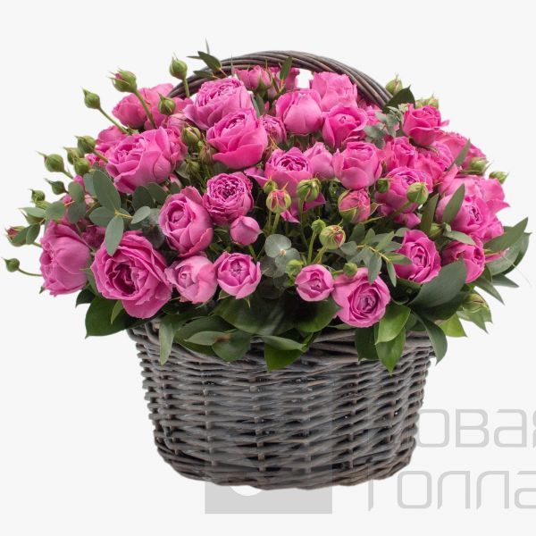 19 розовых пионовидных роз в корзине