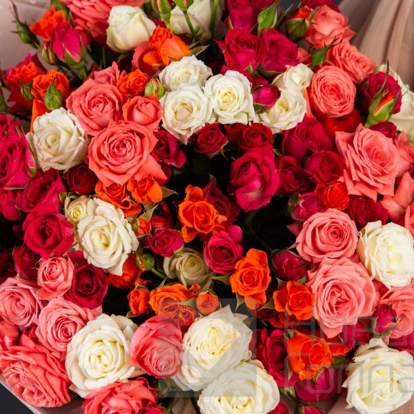 Букет 27 кустовых роз ассорти