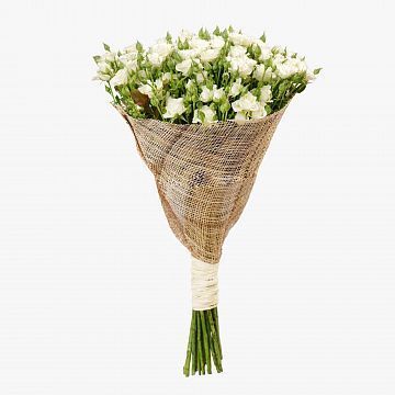 Букет 25 белых кустовых роз