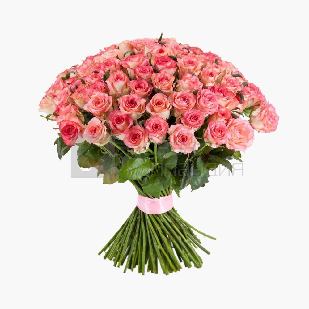 Букет 101 розовая роза 40 см