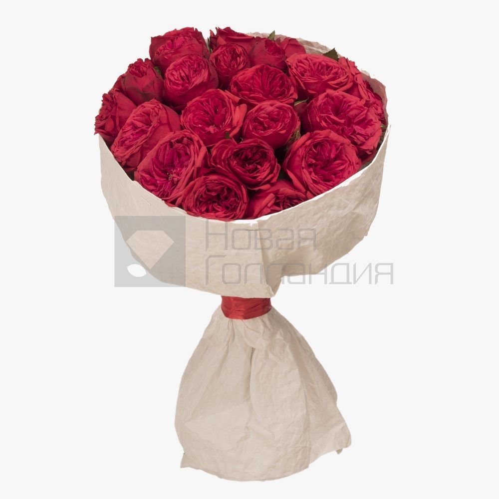 Букет из 9 красных пионовидных роз Премиум