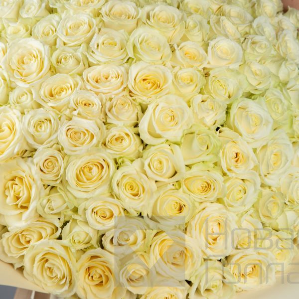 Букет 151 белая роза 60 см
