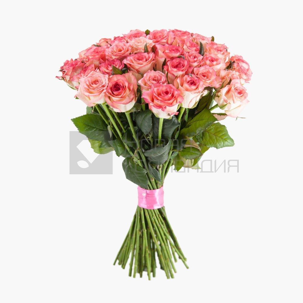 Букет 51 розовая роза 40 см
