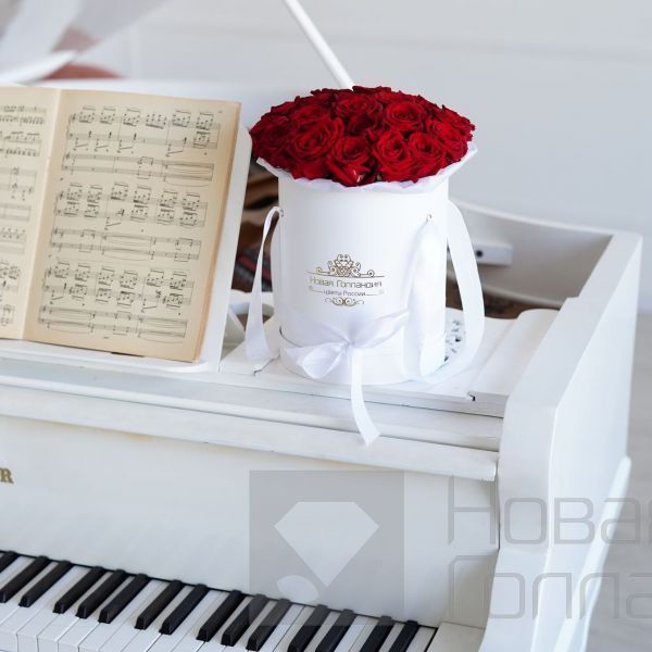 25 красных роз в белой шляпной коробке №173