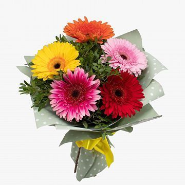 Букет из 5 гербер