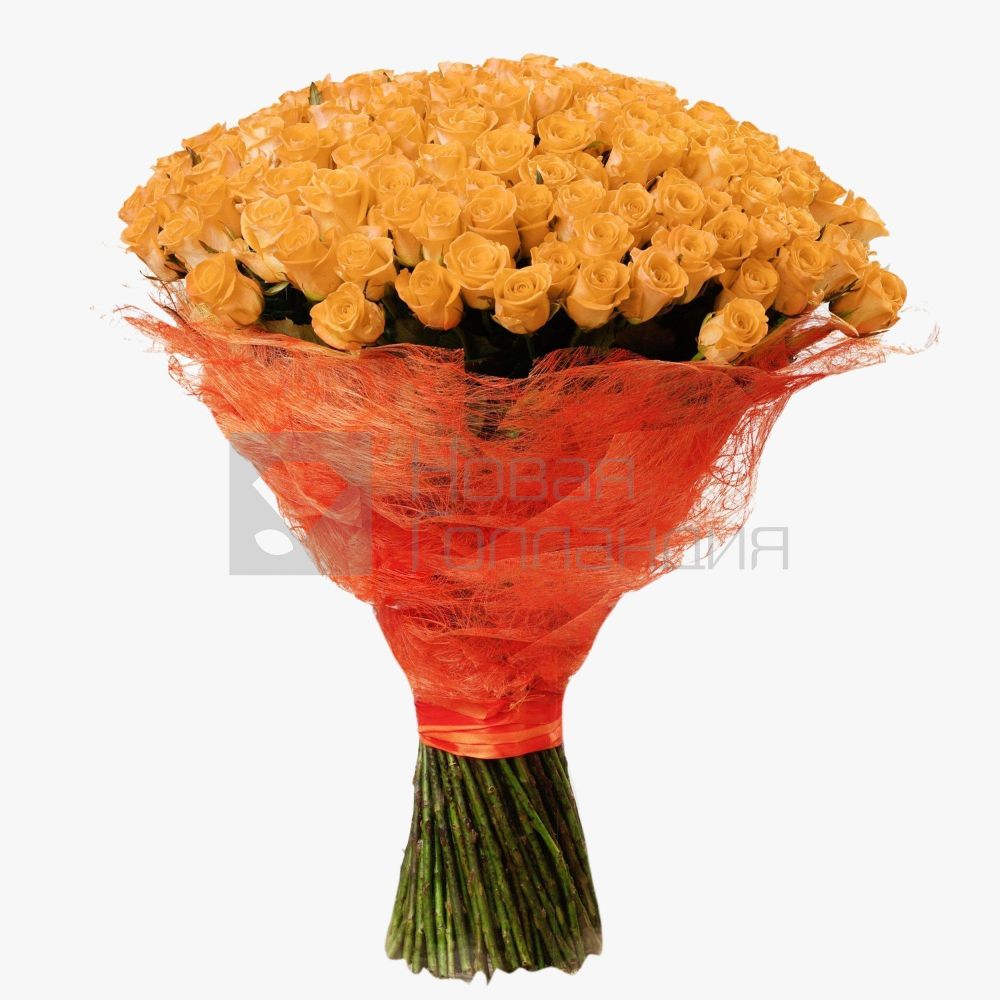 Букет 151 оранжевая роза 60 см