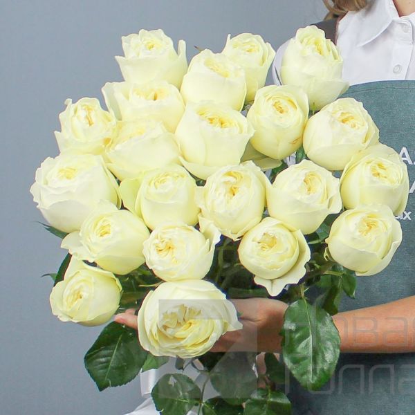 Букет 21 белая роза Премиум Эквадор 70см