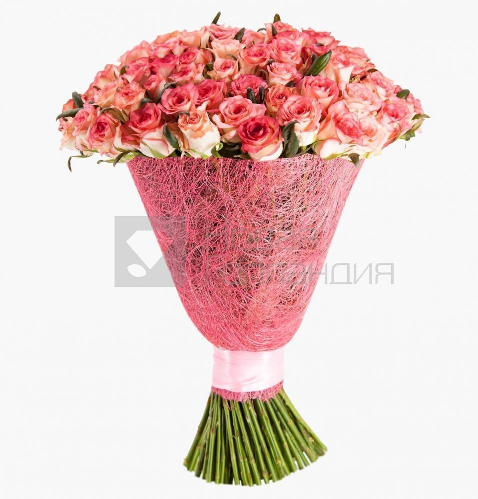 Букет 151 розовая роза  70см