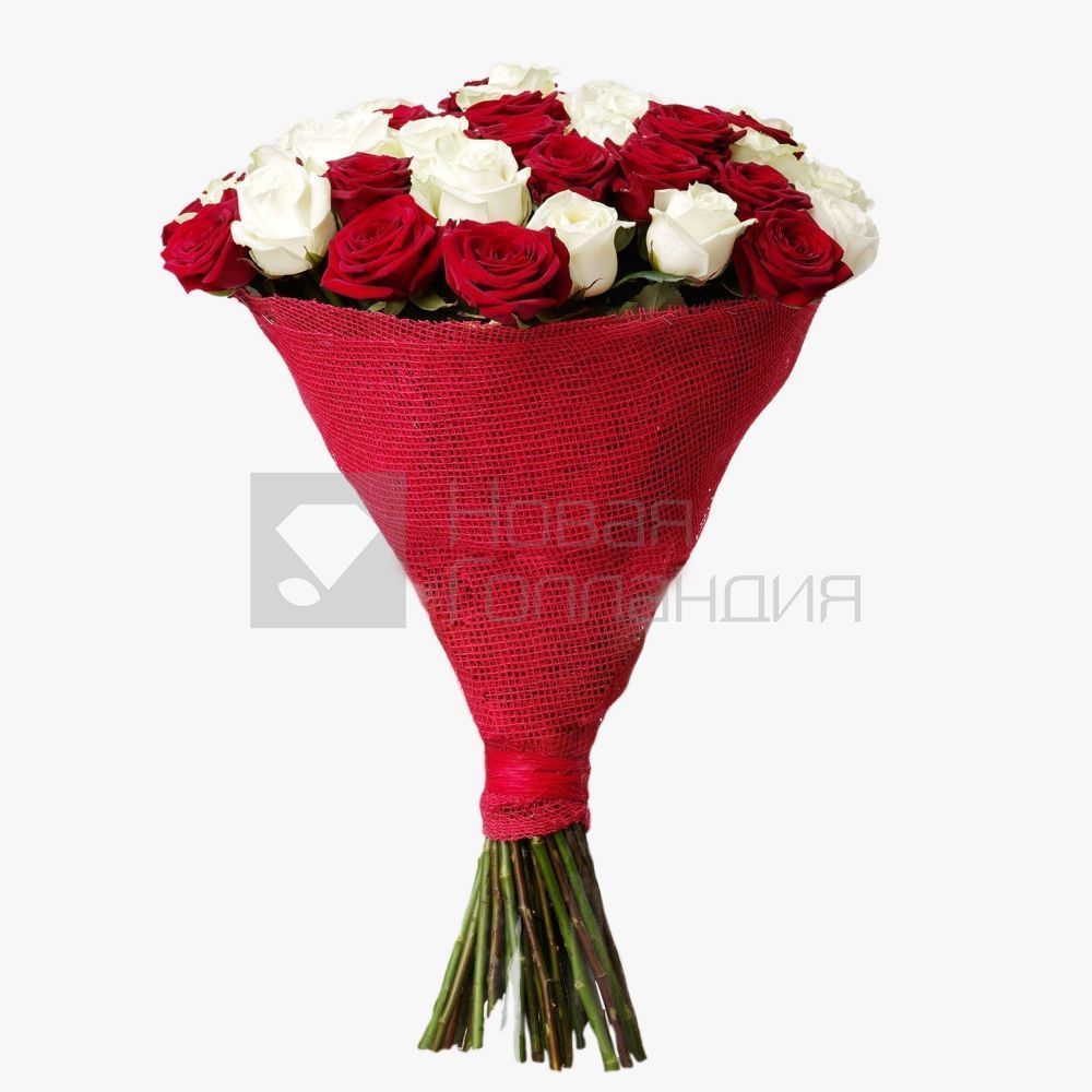 Букет 51 красная и белая роза 60 см